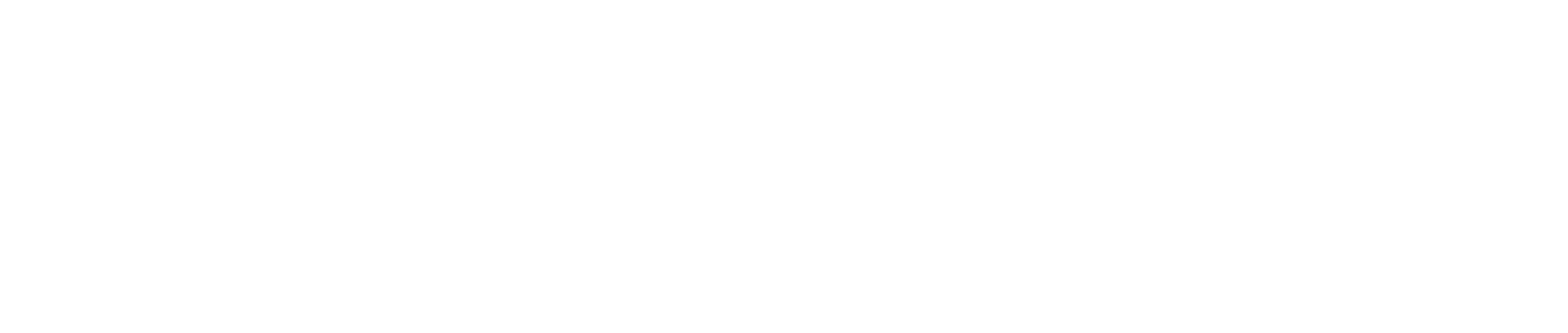 Parceiro de apoio